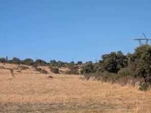 Vistas